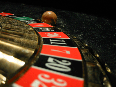 Casino Gambling For Dummies: Kevin Blackwood